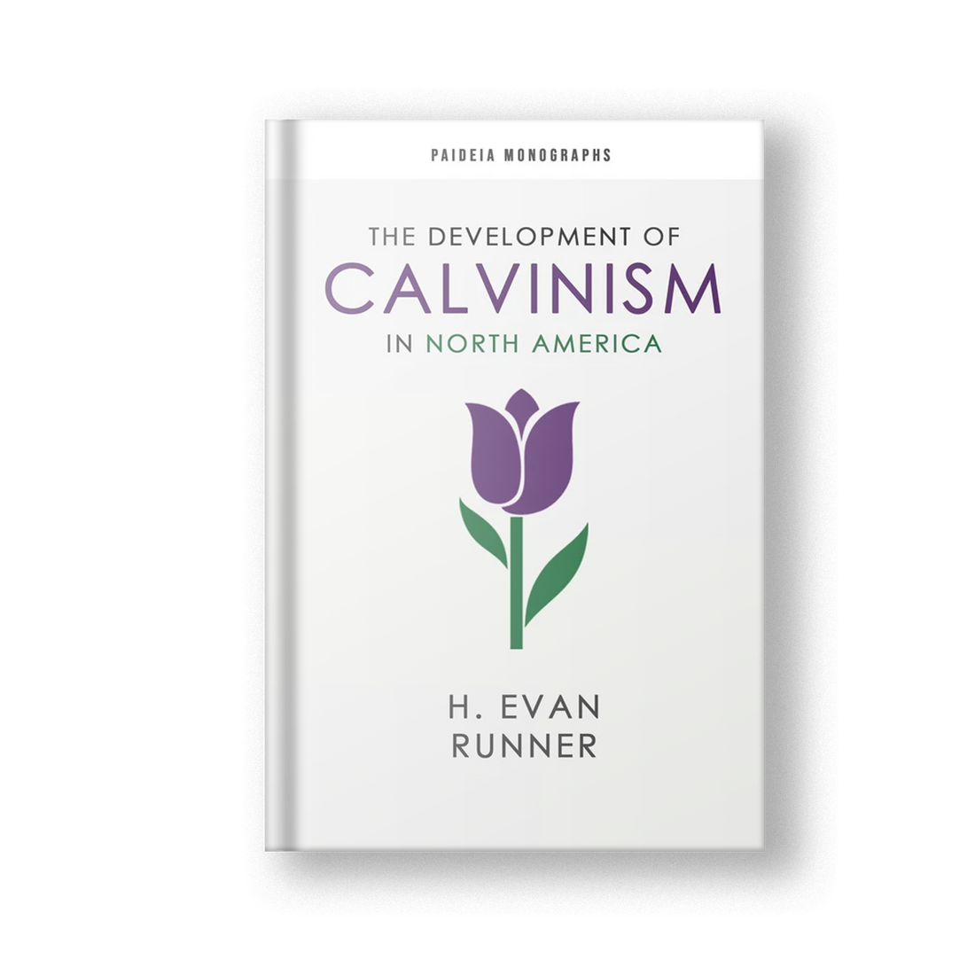 The Development of Calvinism in North America (Paideia Monographs)